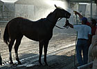 Saratoga Taking Hot Weather Precautions