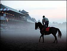 Steve Haskin's Saratoga Memories: The Doc and the Storm Steve Haskin's Saratoga Memories: The Doc and the Storm