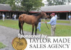 Video: Fasig-Tipton Saratoga Preview 2011
