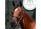 F-T Saratoga Night Two: Big Bang Yearlings