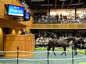 Street Cry Colt Fetches $1.2 Million at F-T Street Cry Colt Fetches $1.2 Million at F-T