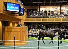Street Cry Colt Fetches $1.2 Million at F-T