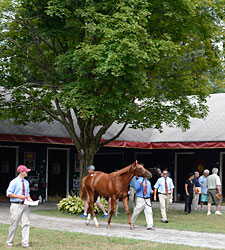 Horsemen's Profits Fall at Saratoga Sale Horsemen's Profits Fall at Saratoga Sale