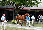 Horsemen's Profits Fall at Saratoga Sale Horsemen's Profits Fall at Saratoga Sale