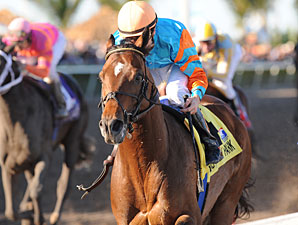 Porter on Pedigrees: Saratoga Holiday Porter on Pedigrees: Saratoga Holiday