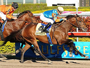 Saratoga Sinner Shines in Holy Bull Win Saratoga Sinner Shines in Holy Bull Win