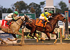 Saratoga Snacks Seeks Empire Classic Rebound Saratoga Snacks Seeks Empire Classic Rebound