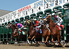 Saratoga On-Track Handle Up; All-Source Dips Saratoga On-Track Handle Up; All-Source Dips