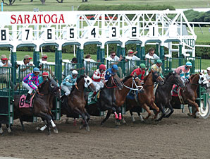 Saratoga Juvenile Maiden Fields to be Reduced Saratoga Juvenile Maiden Fields to be Reduced