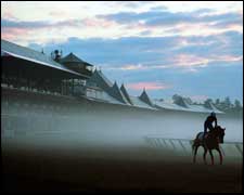Quick Start Out of the Gate for Saratoga Quick Start Out of the Gate for Saratoga