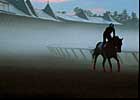 Quick Start Out of the Gate for Saratoga
