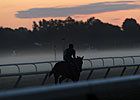 NYRA's Choice A-O-Kay - by Evan Hammonds NYRA's Choice A-O-Kay - by Evan Hammonds