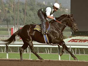 Classic Winner Sarava's First Winner Classic Winner Sarava's First Winner