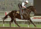 Classic Winner Sarava's First Winner Classic Winner Sarava's First Winner