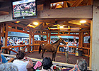 Vic Zast's Saratoga Diary: M'ams and Sirs Vic Zast's Saratoga Diary: M'ams and Sirs