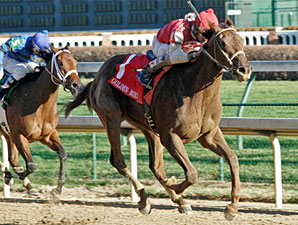 Sassy Image Picture Perfect in Golden Rod Win Sassy Image Picture Perfect in Golden Rod Win