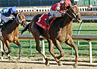 Sassy Image Picture Perfect in Golden Rod Win