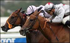 Satwa Queen Repeats in Prix Jean Romanet Satwa Queen Repeats in Prix Jean Romanet