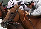 Satwa Queen Repeats in Prix Jean Romanet Satwa Queen Repeats in Prix Jean Romanet