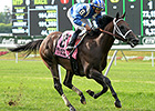 Sayaad Returns From Absence to Snag 'Apple' Sayaad Returns From Absence to Snag 'Apple'
