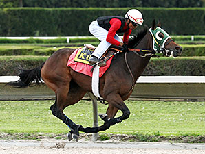 Scandalous Act Works 4F for Juvenile Fillies Scandalous Act Works 4F for Juvenile Fillies