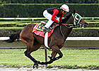 Scandalous Act Works 4F for Juvenile Fillies Scandalous Act Works 4F for Juvenile Fillies