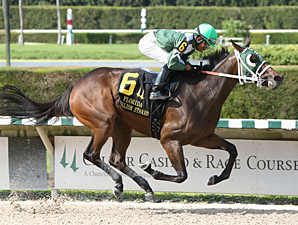 Scandalous Act Trounces Rivals to Sweep FSS Scandalous Act Trounces Rivals to Sweep FSS