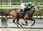 Scandalous Act Trounces Rivals to Sweep FSS Scandalous Act Trounces Rivals to Sweep FSS
