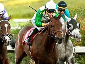 Scarlet Strike Looks Primed for Santa Ysabel Scarlet Strike Looks Primed for Santa Ysabel
