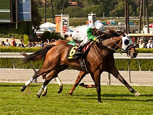Hollendorfer Spots Scarlet Strike in Senorita Hollendorfer Spots Scarlet Strike in Senorita