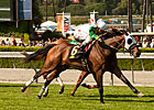 Hollendorfer Spots Scarlet Strike in Senorita Hollendorfer Spots Scarlet Strike in Senorita