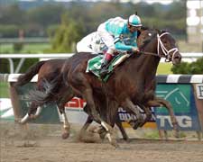 Pletcher's Scat Daddy Pops Champagne Cork Pletcher's Scat Daddy Pops Champagne Cork