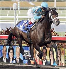 'Daddy Just Dandy in Florida Derby 'Daddy Just Dandy in Florida Derby