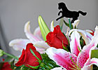 Churchill Increases Oaks, Derby Pick 6 Pools Churchill Increases Oaks, Derby Pick 6 Pools