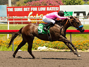 Scherer Magic Wins Hollywood Juvenile Title Scherer Magic Wins Hollywood Juvenile Title
