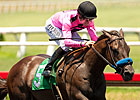 Best Pal Next for Surprising Scherer Magic Best Pal Next for Surprising Scherer Magic