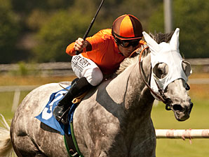 Royal Heroine Winner Schiaparelli Retired Royal Heroine Winner Schiaparelli Retired