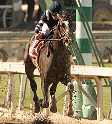 Schoolofhardrocks Works Well for SA Derby Schoolofhardrocks Works Well for SA Derby