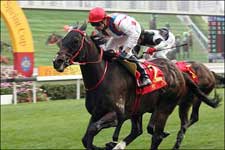 Scintillation Wins Centenary Sprint Cup; Silent Witness 9th Scintillation Wins Centenary Sprint Cup; Silent Witness 9th
