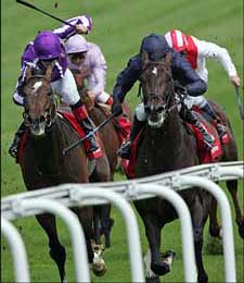 Favored Scorpion Out of Melbourne Cup Favored Scorpion Out of Melbourne Cup