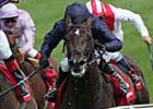 Favored Scorpion Out of Melbourne Cup