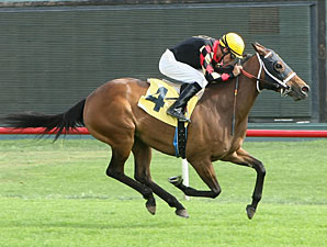 Scott Stevens Claims 4,000th Thoroughbred Win Scott Stevens Claims 4,000th Thoroughbred Win