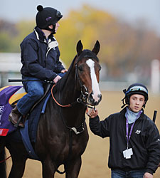 Stoute Irked by Turf Course Closure Stoute Irked by Turf Course Closure