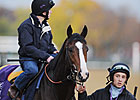 Stoute Irked by Turf Course Closure Stoute Irked by Turf Course Closure