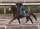 Hong Kong Cup Day: Sir Michael Stoute