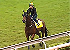 Hong Kong Cup Day: John O'Shea & Sea Siren Hong Kong Cup Day: John O'Shea & Sea Siren