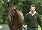 Sea The Stars Profile (Video) Sea The Stars Profile (Video)