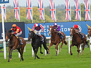 Seal of Approval Shocks Ascot Champions Event Seal of Approval Shocks Ascot Champions Event
