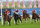 Seal of Approval Shocks Ascot Champions Event Seal of Approval Shocks Ascot Champions Event