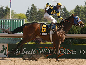 Canadian Champ Sealy Hill Heads Nassau Canadian Champ Sealy Hill Heads Nassau